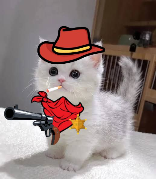 $KIMI Loaded up to go outside for first time and find her lost sister $MICHI Kimi a little scared of outside world, but she is fully loaded, watch out!