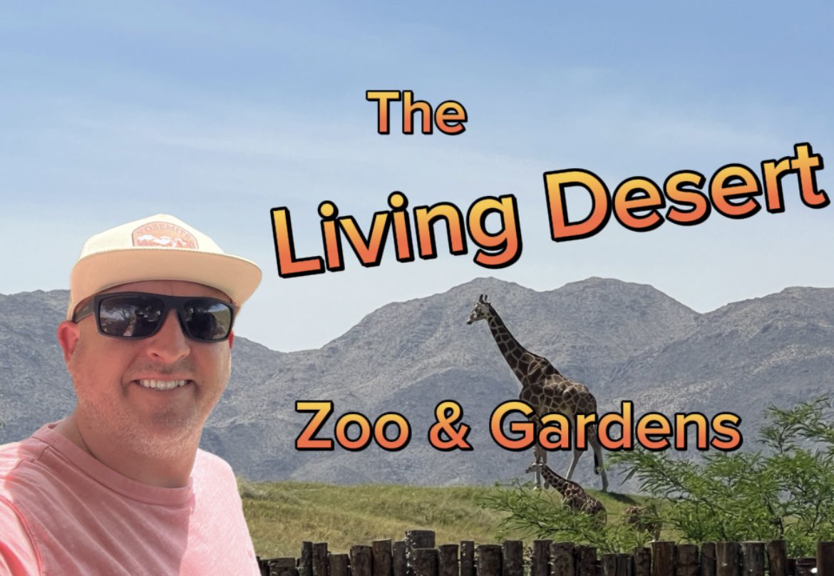 Checking Out The Living Desert Zoo youtu.be/hwg1xp_wWkk?si… 👆@VisitPalmDesert @PalmSpringsCA #livingdesertzoo #palmdesert #palmsprings #California #Travel #Cali #SoCal #zoo #wildlife #travelvlog #YouTube