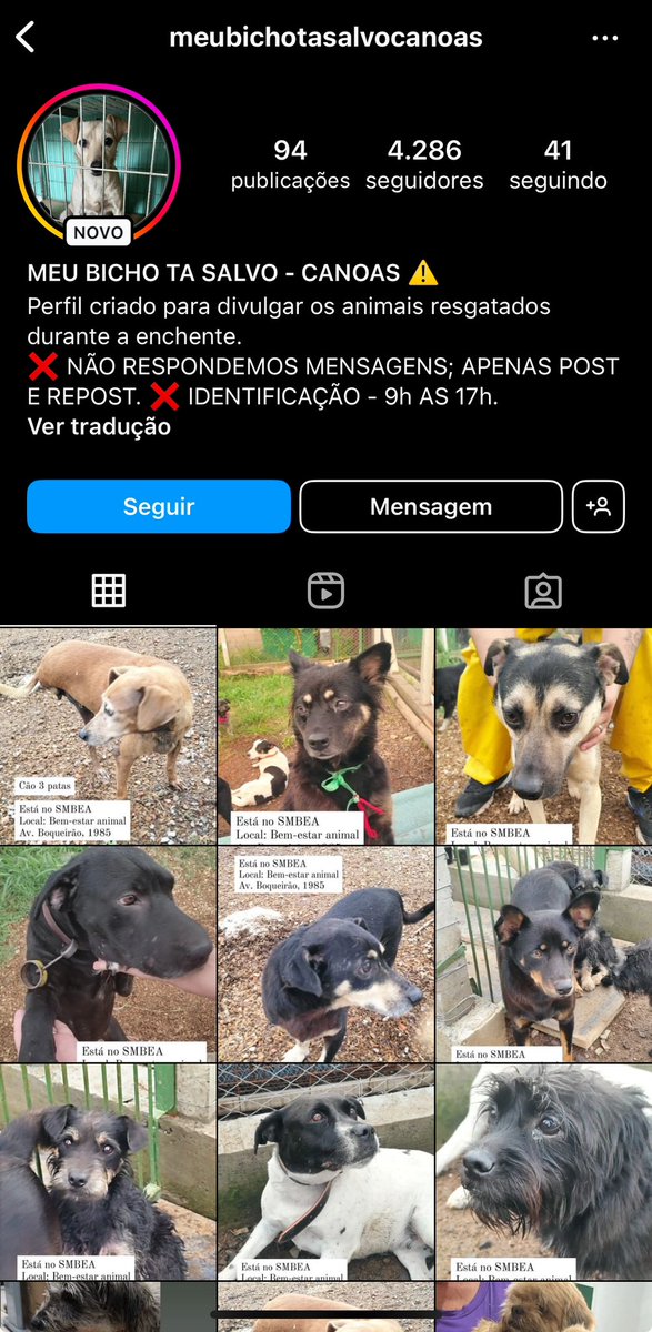 Divulgando que há uma página recém-criada no Instagram para os animais perdidos de Canoas. Acabei de ver, tem muitos animais lá. 😢 Importante divulgar para serem encontrados pelos tutores.