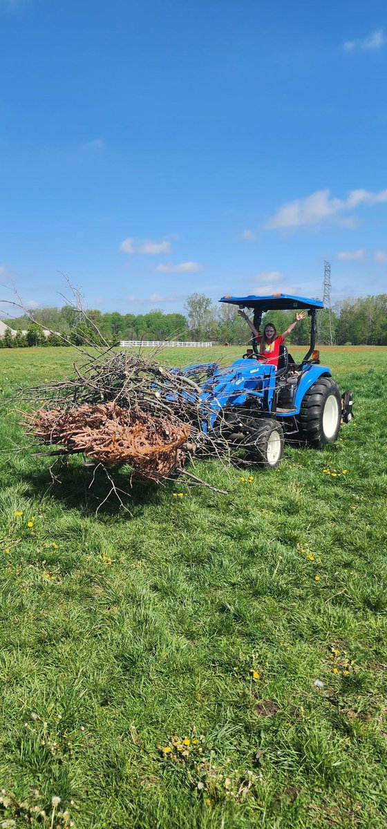 @JeremyClarkson My 10 year old daughter yells 'I did a thing' after she loads the tractor with brush.   #ClarksonFarm #Tractoring #diddlysquat #BlackBerryJamMayContainBlackBerries  #FarmManager #diddlysquatfarm  @diddlysquatshop