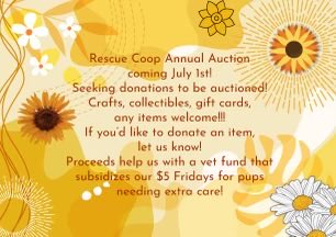 Rescue Coop 2024 July Auction! Do you make things or have things like collectibles, gift cards, or items you’d like to donate to a great cause? If so, consider donating them to our upcoming annual auction! Give us a shout if you’d like to help ♥️!