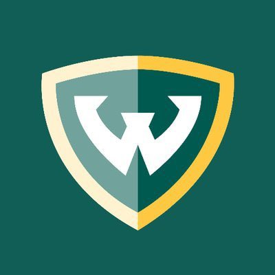 I’m blessed to receive an offer from Wayne State University💚💛!! @CoachSnowden @CoachTomSims @RVille_Football