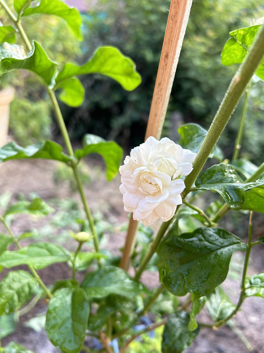 zp (@ppaerxe) on Twitter photo 