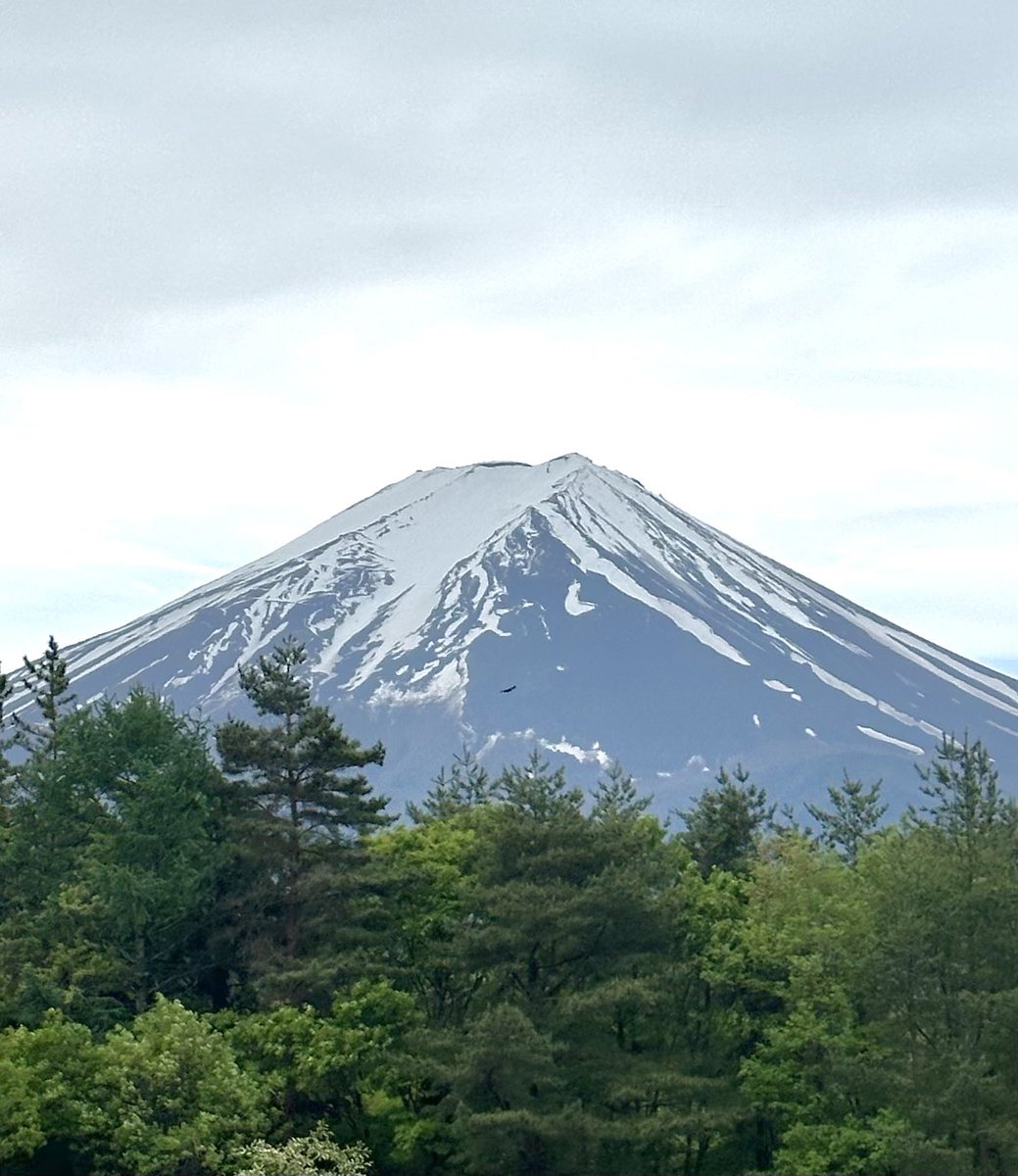 5月6日(月)振替休日
どんより曇り空ですが、
今現在 富士山見えています☻
夜遅くから明日にかけて雨の予報。。
毎日の気温差に体調お気をつけください𓆸
.
It will rain tomorrow. Please take care of your health due to the daily temperature differences.
#富士吉田 #fujiyoshida