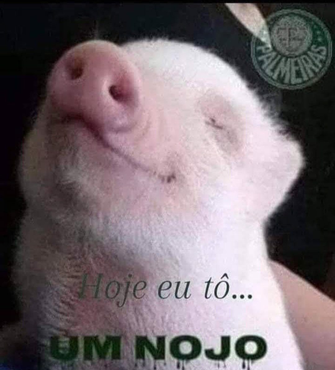 Hj o Meiras foi só o time do amor 😎🐷💚💪🙌