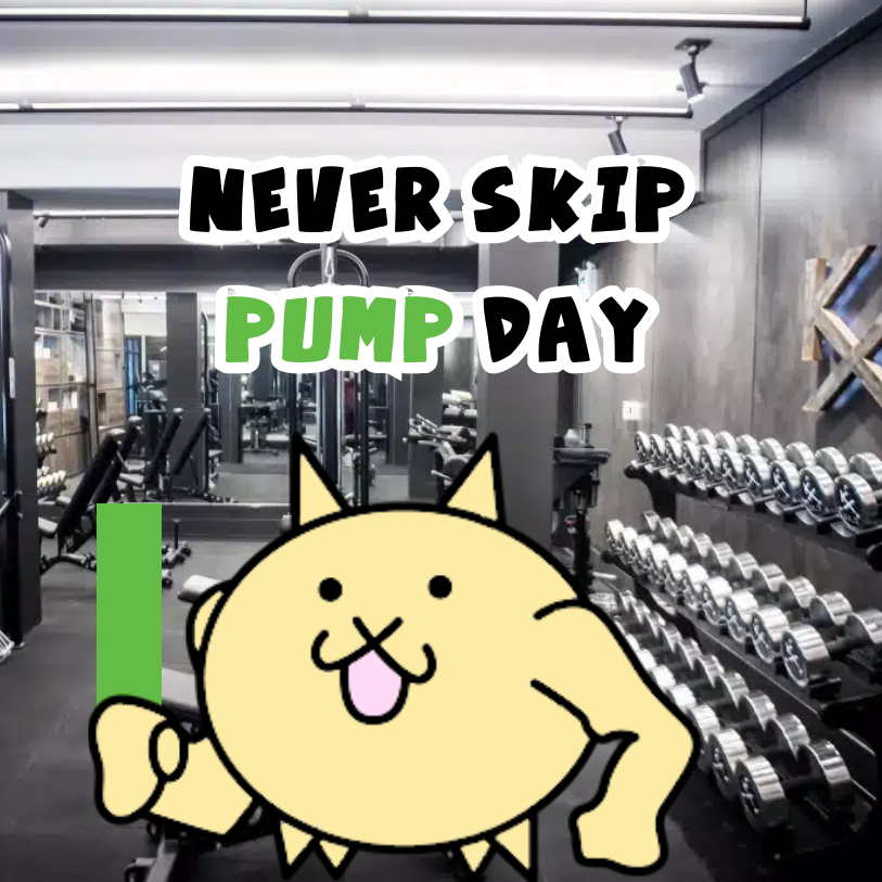 $NIJI never skips pump day. We are entering Monday. Busy week ahead of us! #SolanaMemecoin