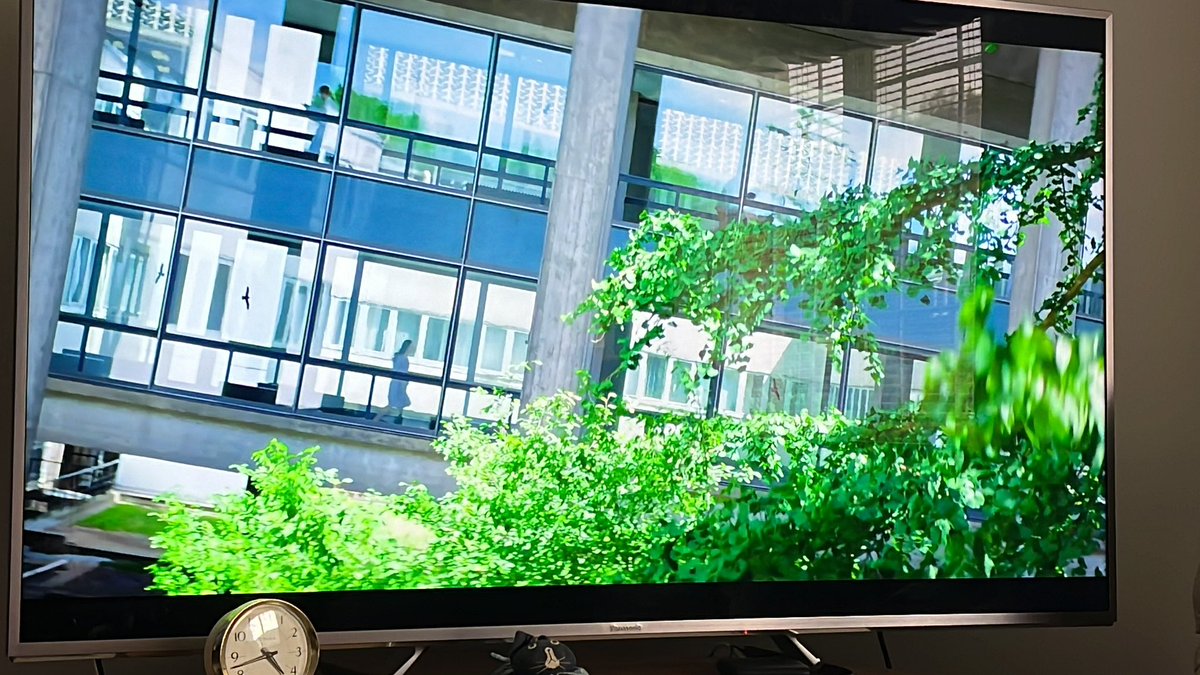 CalgaryResponse's tweet image. Dear #WindowStrike community… see what I see? 

Note the “fly-throughs” and then the hawk stickers (ineffective attempt to stop strikes).  This #QueenOfTears scene is meant to be #Germany but may be filmed in #Korea. 

Be amazing to connect them with @FeatherFriendly. #KDrama