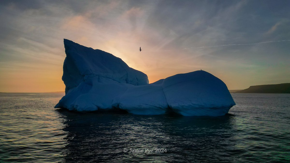 Bird’s eye view this evening!
