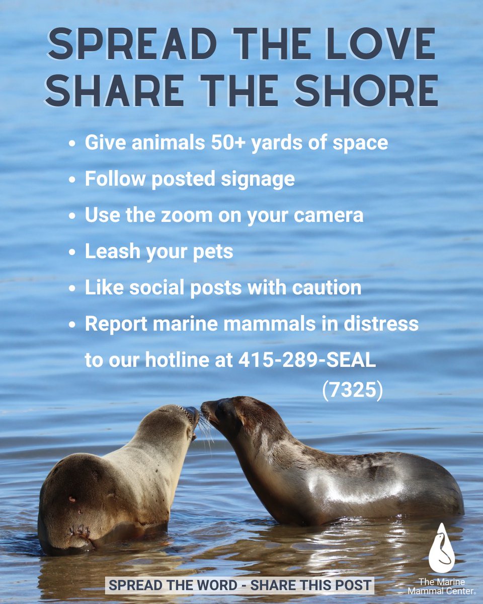 Seeing a #MarineMammal is exciting! But please remember to be a wildlife hero with these tips 👇 for both wildlife safety and your own. It's not only the law, it's courteous to give animals plenty of space in their natural habitat 🌊💕