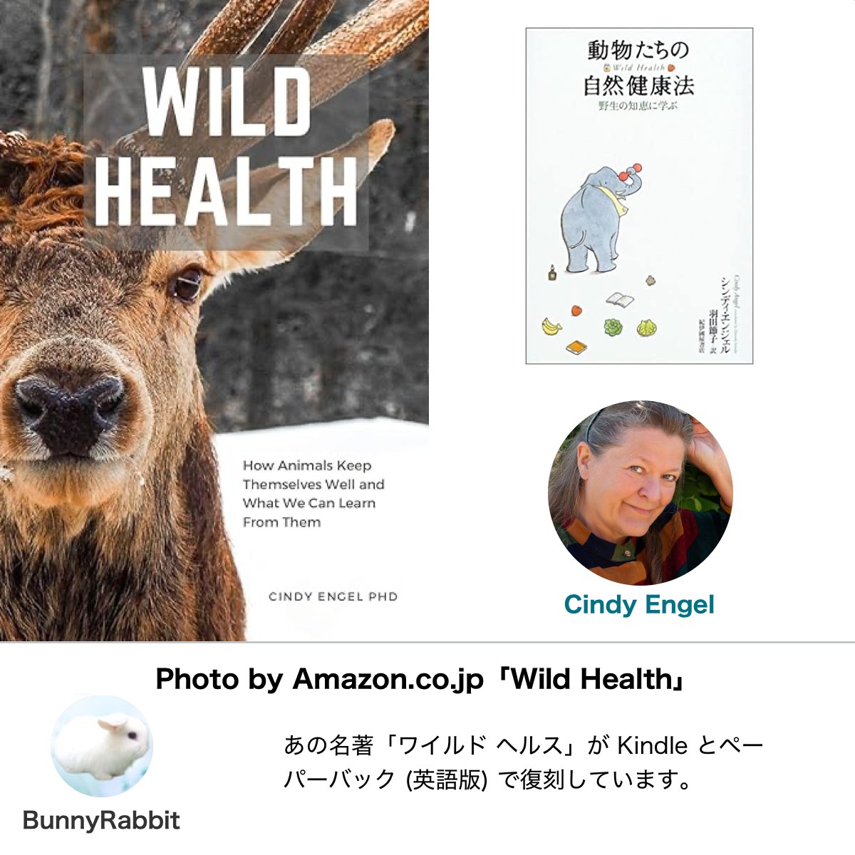 名著復活！「ワイルドヘルス：動物たちの自然健康法 - 野生の知恵に学ぶ」

Blog を更新しました！

名著復活！「ワイルドヘルス：動物たちの自然健康法 - 野生の知恵に学ぶ」 - BunnyRabbit バニーラビット: ameblo.jp/blueeyedwhite/…