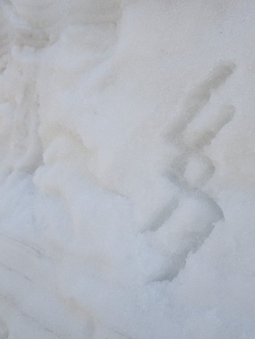 「誰もいない 雪」のTwitter画像/イラスト(新着)