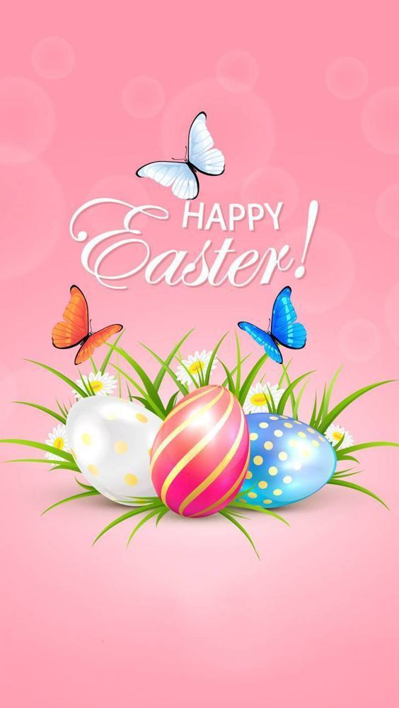 May the joy and blessings of Easter fill your day with love, hope, and happiness. May this special time bring peace and renewal to all. #HappyEaster #HappyEasterDay #ForcedToFlee #MiamiGP