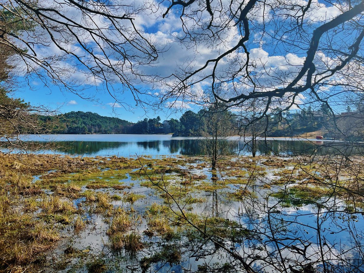 Check out my photo’s at my Instagram: Fotolotten 📸
#bergen  #norway #photooftheday #photography #photo #exellent_nordic #Mittnorge #bestofnorway #earthpix #visitNorway