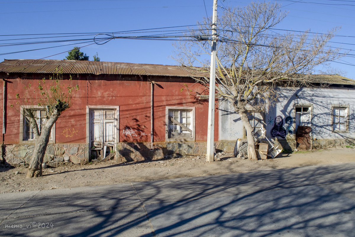 Sombras de vida… sombras de fantasmas, #patrimonio local en despedida, poco queda de las típicas casas de #Papudo y sus #arboles  (#Photography 2024)