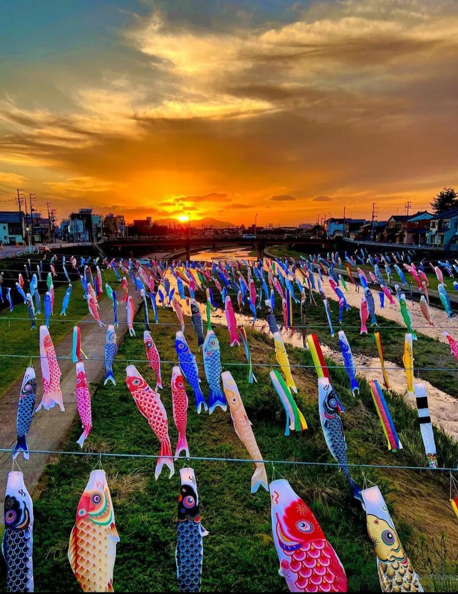 #Japan #holiday #fish #festival #sunset #sunrise