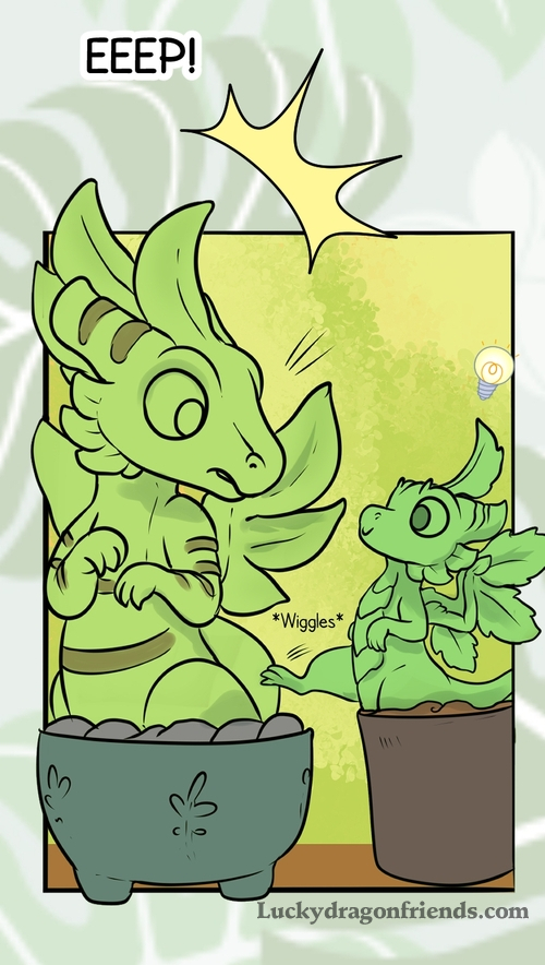 Doing what a Minty Dragon does..... invade into your space! 🐉🌱