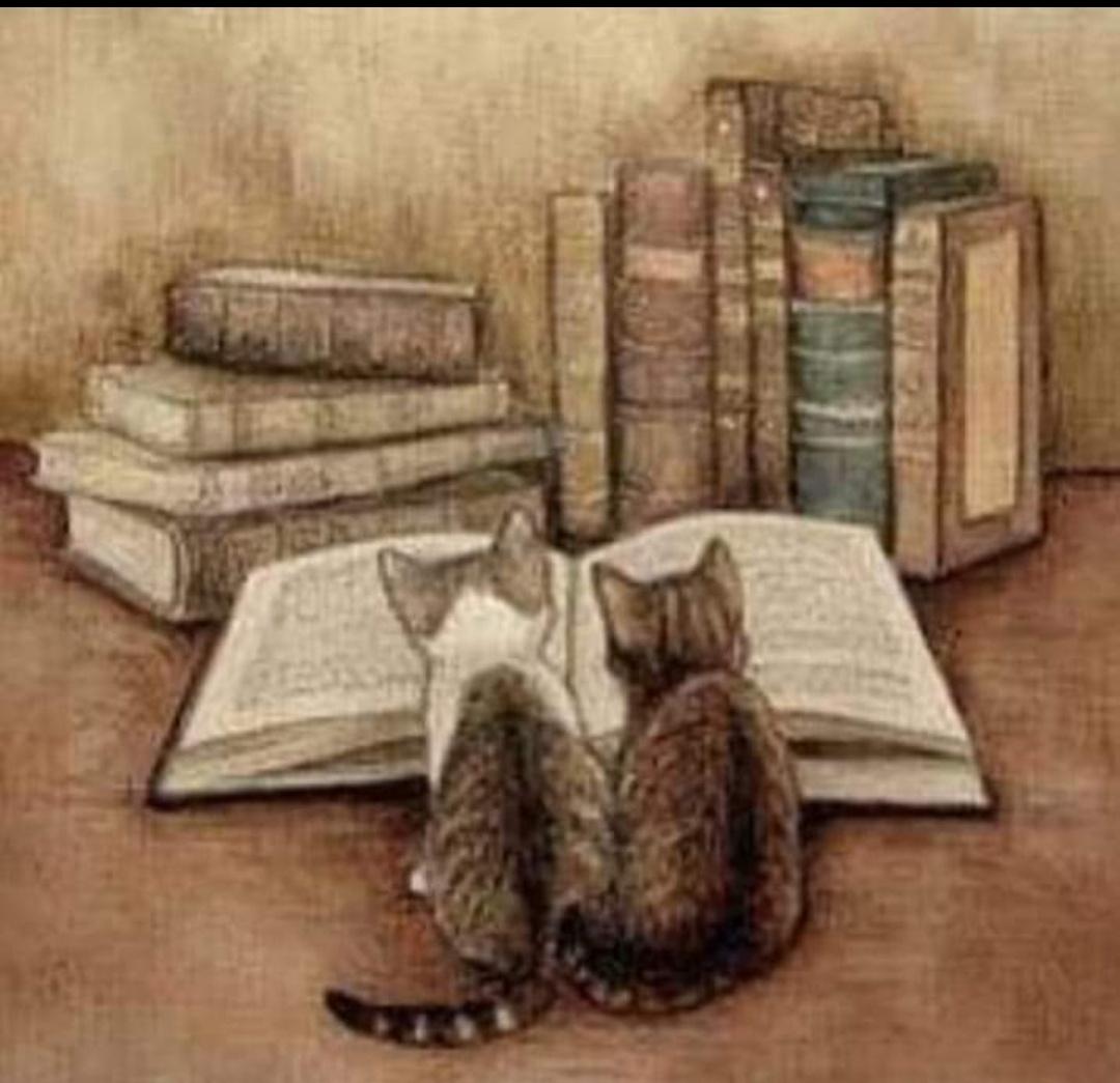 'Los gatos y los libros son mi universo. Ambos son infinitamente fascinantes y llenos de misterio'. Rai Aren...✍️