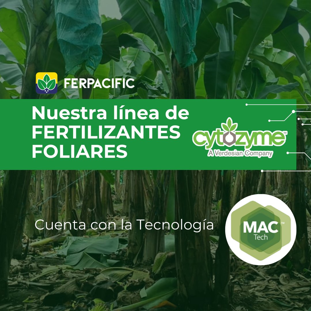 ferpacific_ec's tweet photo. Nuestra línea de fertilizantes foliares CytoZyme cuenta con la Tecnología MAC, una exclusiva fórmula que contiene Compuestos Metabólicamente Activos que trabajan a nivel celular para potenciar al máximo el potencial de tus cultivos.
#SomosFerpacific #fertilizantesfoliares #MAC https://t.co/Gelqy6bh5b