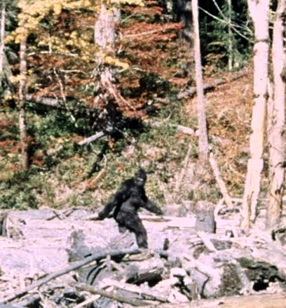 Can we take a break from politics, globalization and wars for a second?  

I want to know if you think Bigfoot is real.