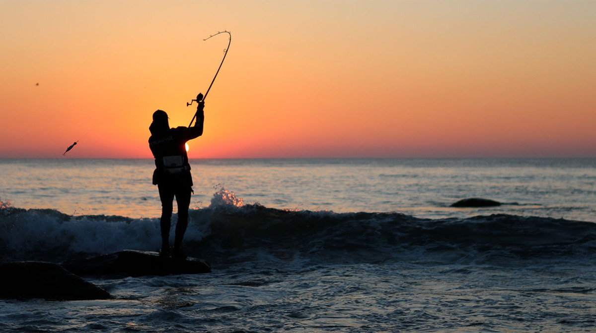 Nothing better than fishing with a view🎣🌅

📷Anglers Journal

#surffishing #fishing #anglers #beachviews #beachside #sunsets #beachsunsets