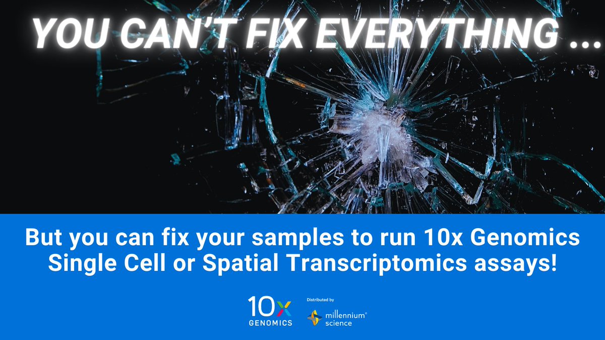 Not everything can be fixed, but your samples certainly can! Did you know that with @10xGenomics you can run #singlecell and #spatialtranscriptomics on fixed samples?

Single Cell #Flex assay allows you to fix and batch samples as you please. It is also compatible with #FFPE…