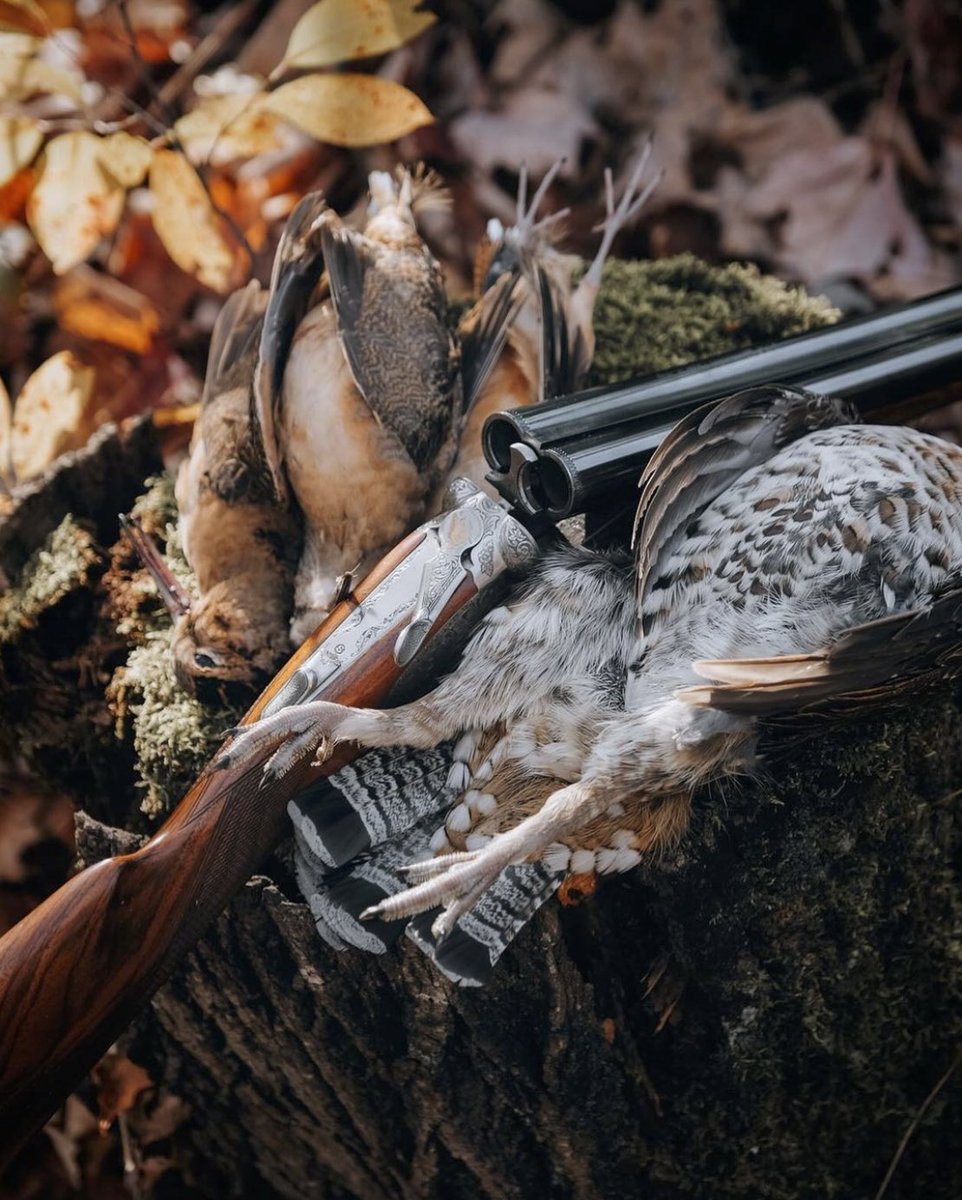 A nice fall harvest.

Photo from Rich Wong. 
#repyourwild #uplandhunting #hunting