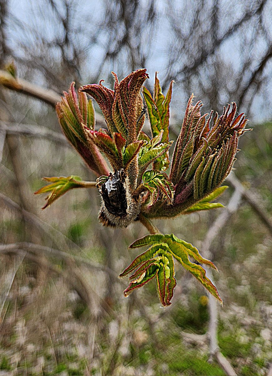 Signs of Spring