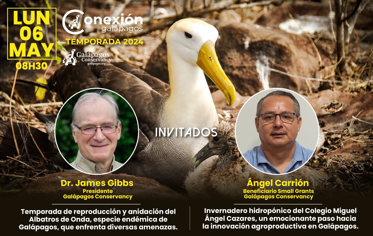 Acompáñenos este lunes en un nuevo episodio de #ConexiónGalápagos. Hablaremos sobre la crucial temporada de reproducción y anidación del Albatros de Onda, y un novedoso proyecto de innovación agrícola que facilita el cultivo de plantas en agua.
Le esperamos!
#sostenibilidad
