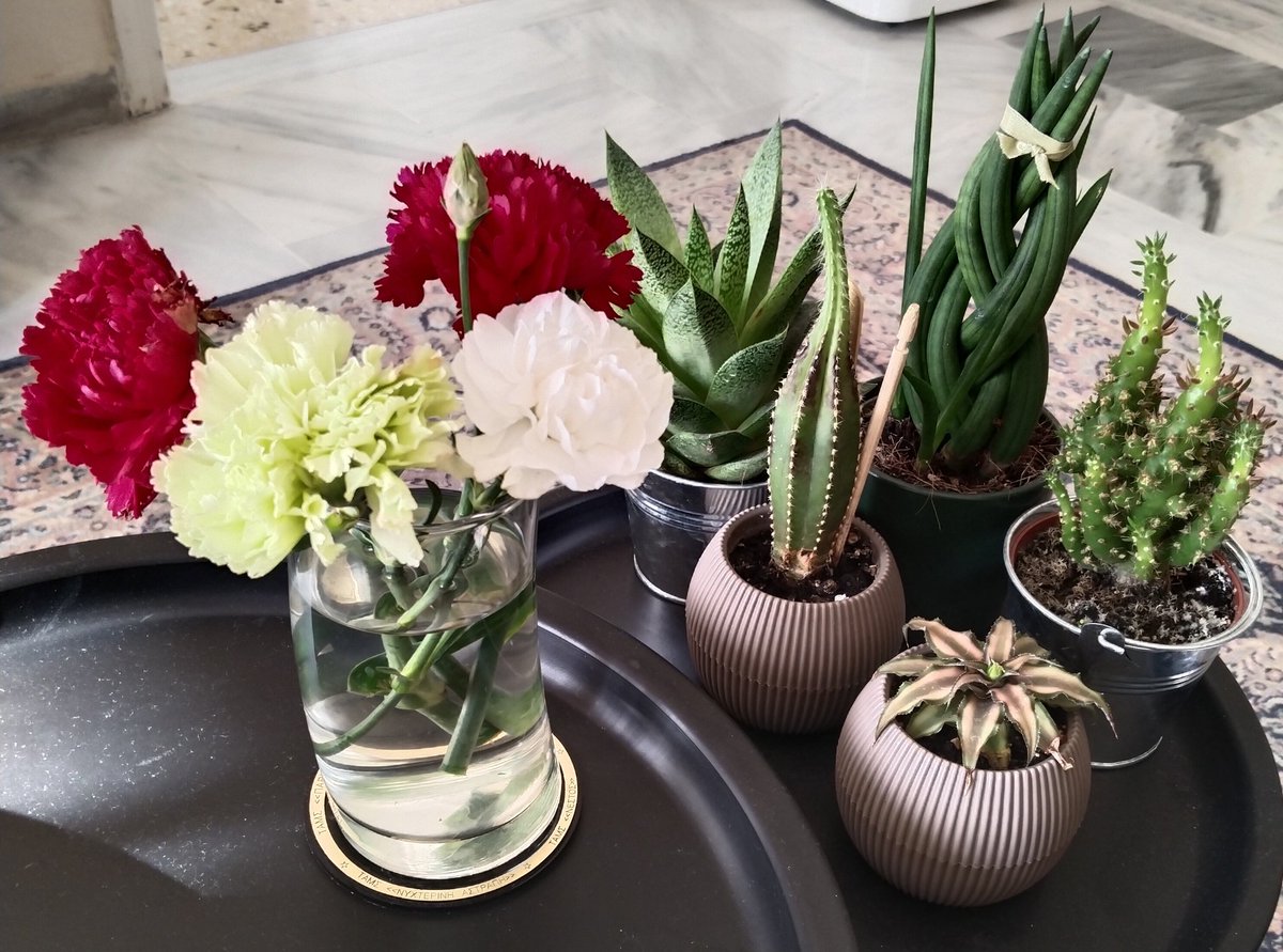 Και κάπως έτσι ξεκινά όμορφα η ημέρα με έναν καφέ...
Καλημέρα και καλή δύναμη σε ΟΛΟΥΣ.
Χρόνια πολλά σε όσους γιορτάζουν και είναι πολλοί...