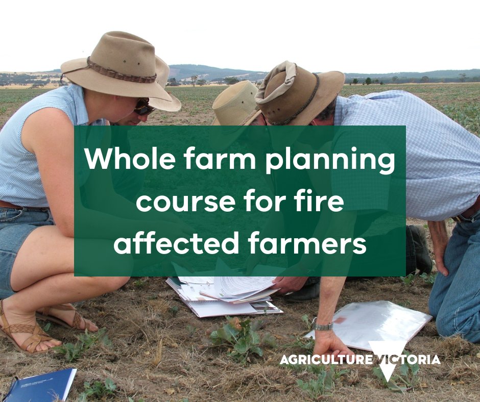 Whole farm planning course available for fire affected farmers in Bayindeen–Rocky Road area. 🕐 When: every Thursday from 11 April through to 23 May, 10 am – 3 pm. 📌 Where: Beeripmo Development Centre, Beaufort. Register here: trybooking.com/events/landing…