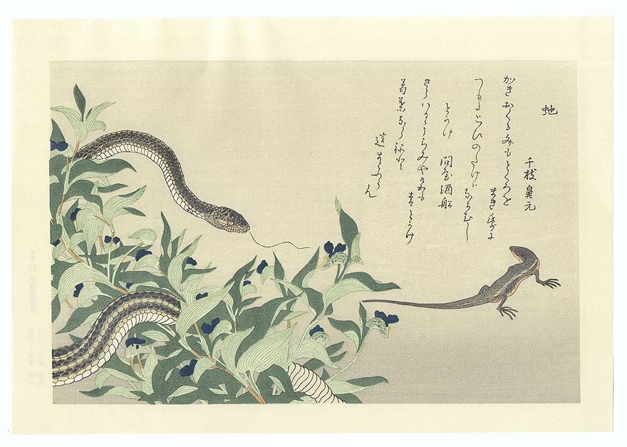Käärme Näkee kaikki muutkin Käärmeenä #haiku 🙏💙 Pic by Utamaro