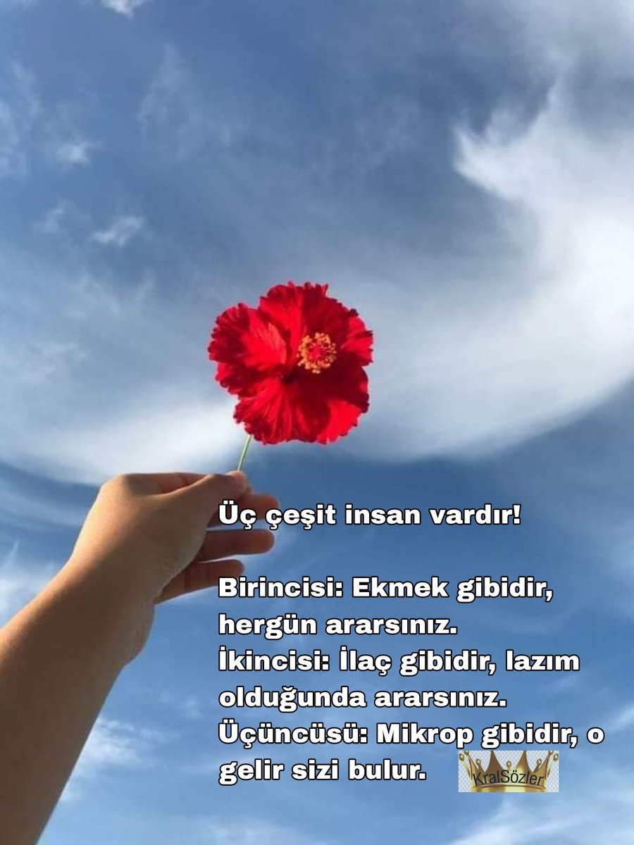 🖤🥀 Üç çeşit insan vardır! Birincisi: Ekmek gibidir, hergün ararsınız. İkincisi: İlaç gibidir, lazım olduğunda ararsınız. Üçüncüsü: Mikrop gibidir, o gelir sizi bulur. #Günaydın güzel insanlar #Rojbaş #KralSözler 🖤🥀