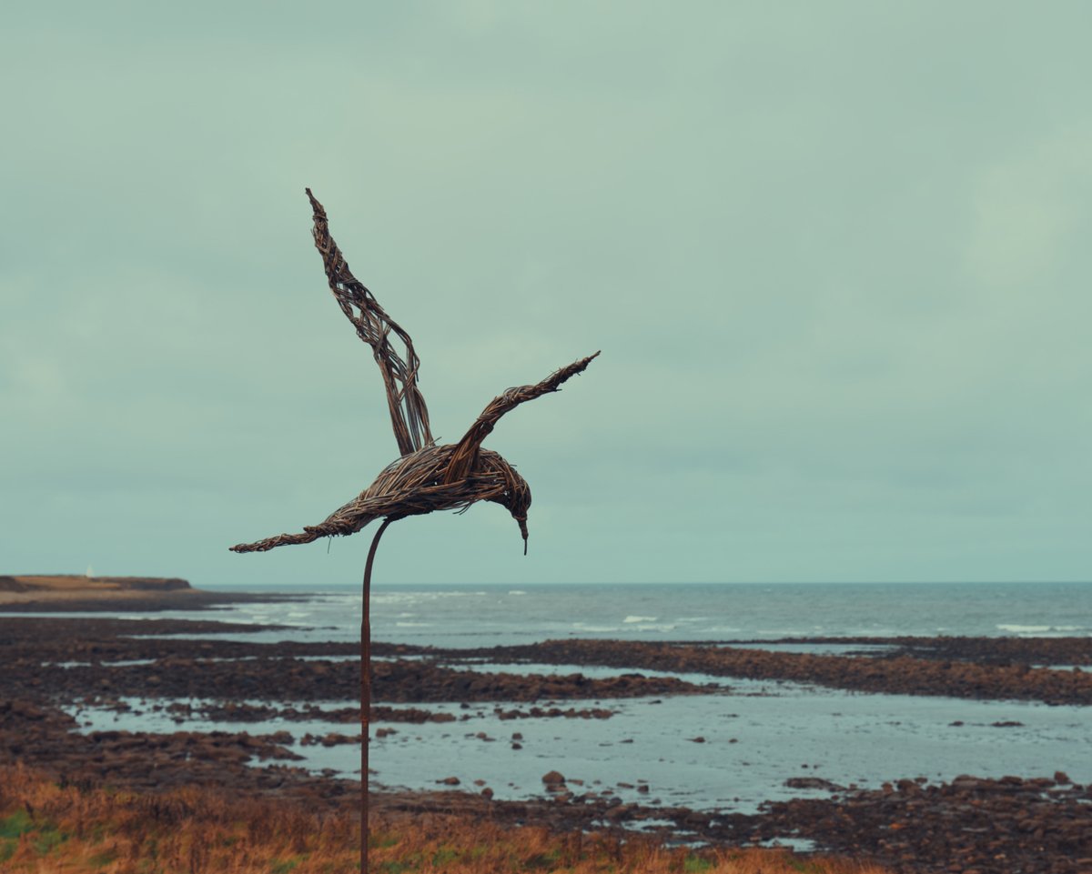 Bird sculpture, Lindisfarne, October 2023.