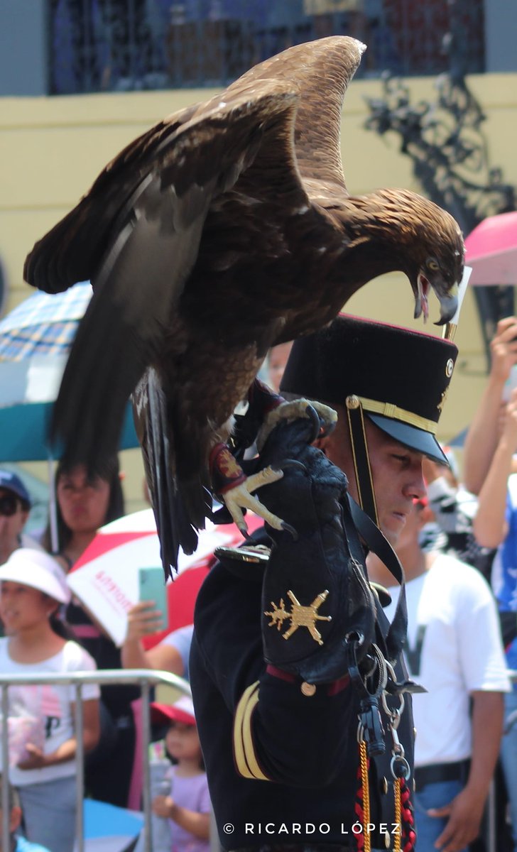 ¡Honrados de tener al #EjércitoMexicano desfilando con nosotros en el 162 Aniversario de la Batalla del 5 de Mayo! Su valentía y dedicación son un tributo a nuestra historia y a nuestra patria. @EJTO_FAM_GN @SEDENAmx