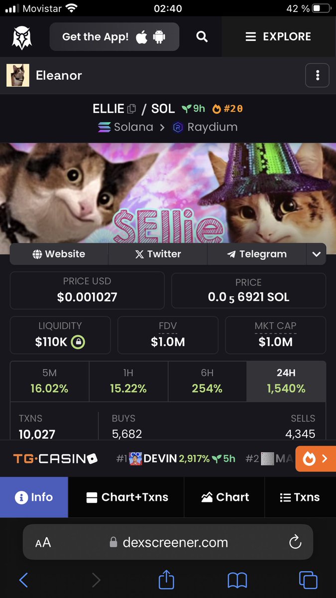 Dev wanted to sleep but the excitement didnt let him. 1M marketcap!!! Less than 12 hours old $ELLIE