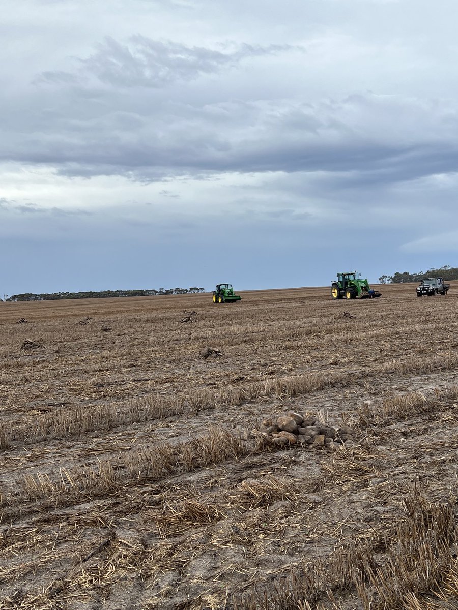 Deep Rip they say ….will solve all your problems