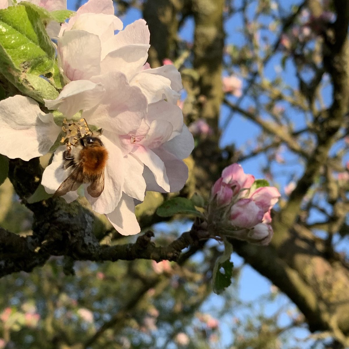 Von allen Seiten
umgibst du mich
und hältst 
deine Hand 
über mir.

<Psalm 139,5>

Guten Morgen🌼

Viel Segen zum Start in die neue Woche!