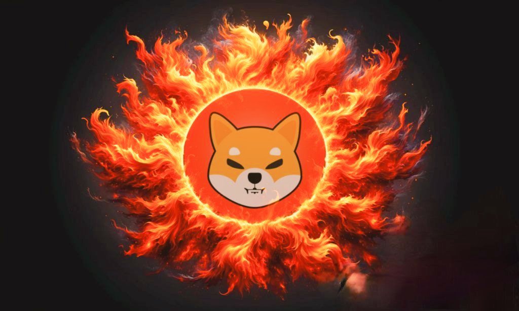 $SHIB pumped 30000%

#Shibarium Lover say something.....