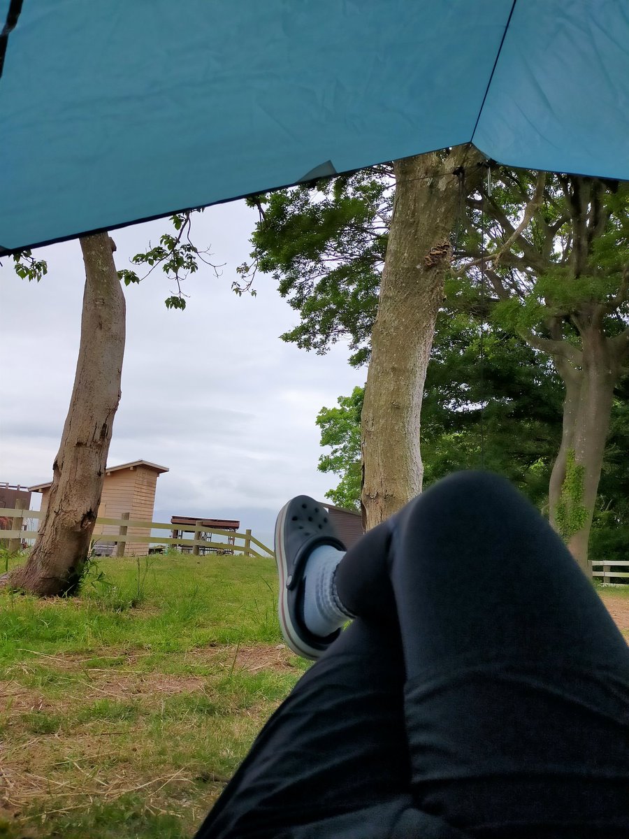 CampTeru's tweet photo. いいデイキャンプだったぜ！
次は泊まりキャンプで必ず来ます！
管理人3号さんのイカれた(褒め言葉)キャンプ話も聞けてよかった！
#瀬戸内海の森キャンプ場 
#デイキャンプ 
#来た時よりも美しく https://t.co/772hYhhxaq