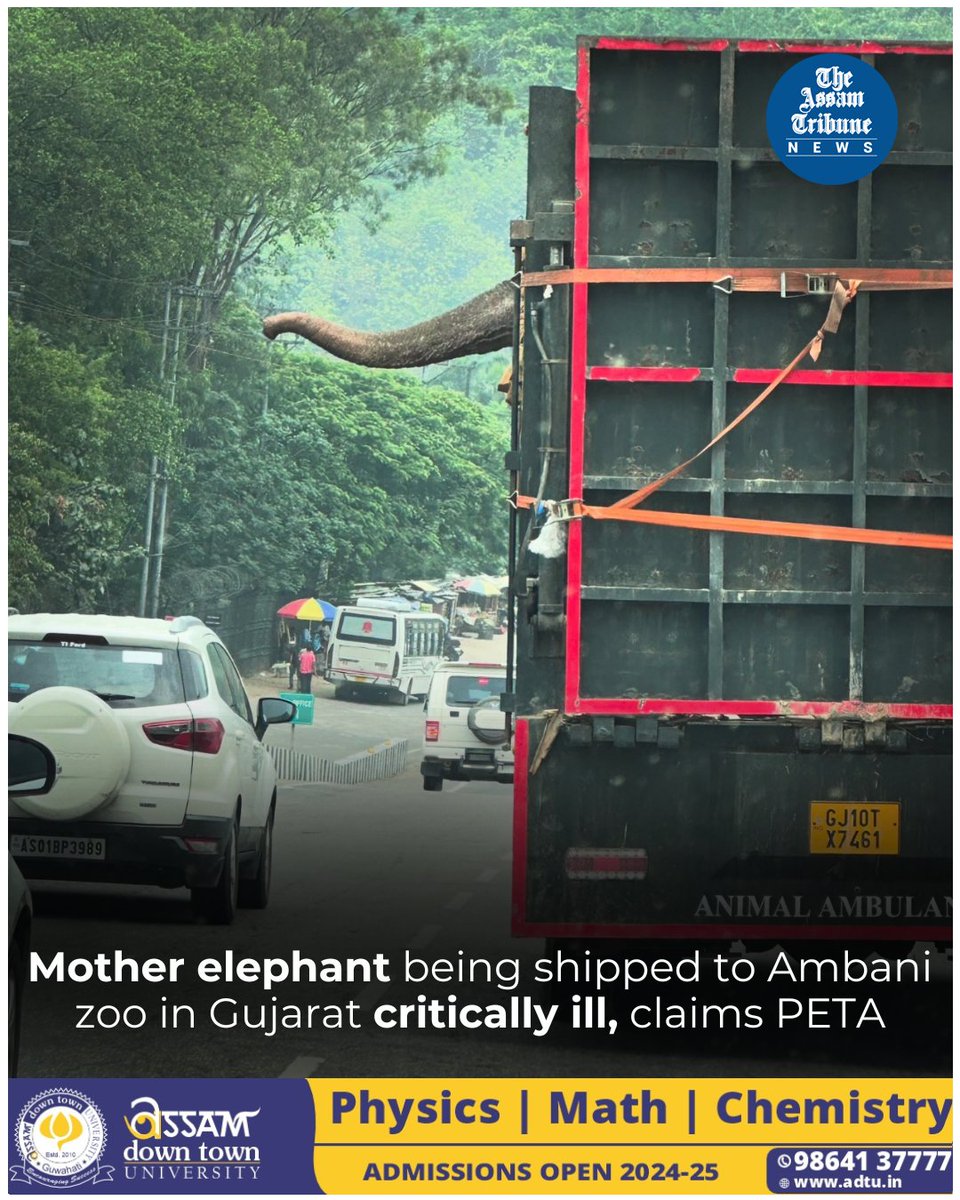 The shipment of the elephant whose picture had gone viral in social media has taken a new twist with revelations that the animal being headed for the Ambani-owned zoo-cum-rehab facility at Jamnagar, Gujarat is 'critically ill'.

#TheAssamTribune #Assam #Elephant #AmbaniZoo