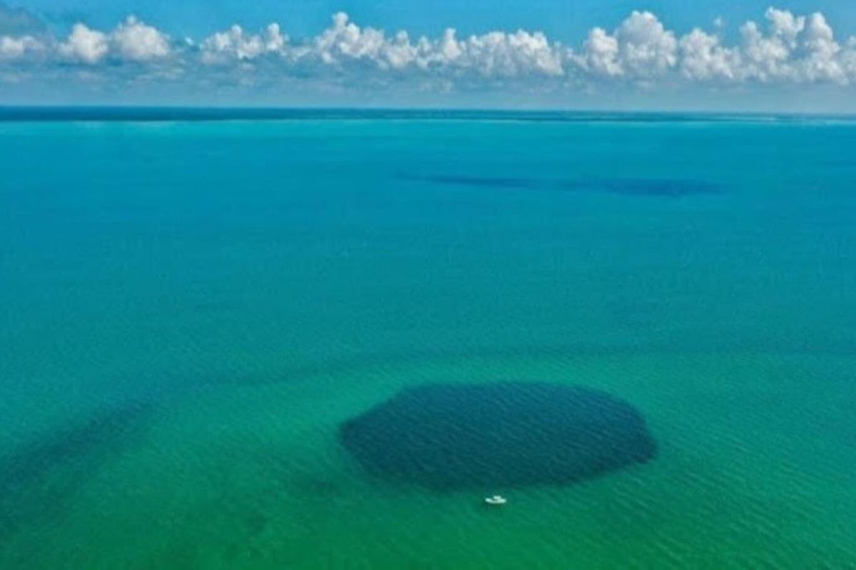 Dibi bulunamadı.

Dünyanın bugüne kadar keşfedilen en derin mavi çukurunun Meksika açıklarındaki Taam Ja' Mavi Çukuru olduğu tespit edildi. Araştırmacılar denizdeki bu deliğin dibine henüz ulaşamadı. 

Yucatán Yarımadası'nın güneydoğu kıyısındaki Chetumal Körfezi'nde 2021'de…