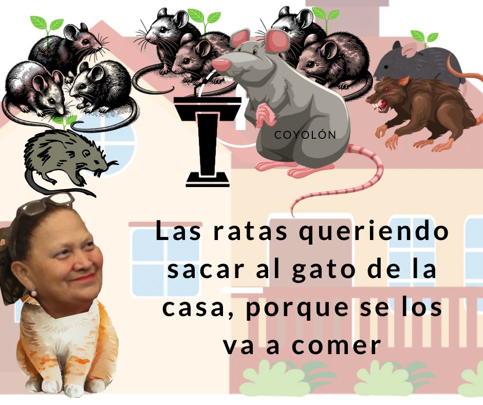AlexaPR1995's tweet photo. @SantizoReloaded https://t.co/qM6NpSSaki