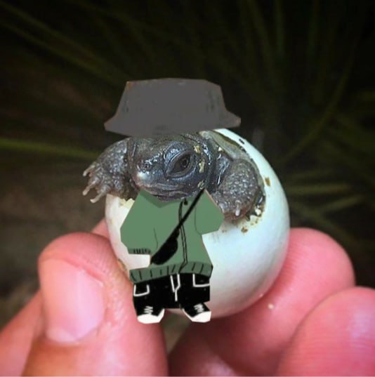 SolanaTurd's tweet photo. 🐢 Ready to shell-ebrate the slow and steady rise of Turd! Join us on https://t.co/ipNGH5Fkj4 for a turtley awesome launch that's sure to make waves in the crypto world! 🚀
$TURD https://t.co/I2NJsc13AL