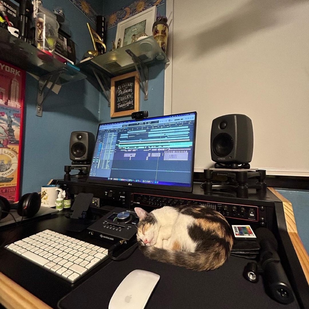 Soaking up some analog warmth before jumping into the work week🐱 📸 instagr.am/s.bismarck #UATwin #UAapollo #ApolloTwin #UniversalAudio