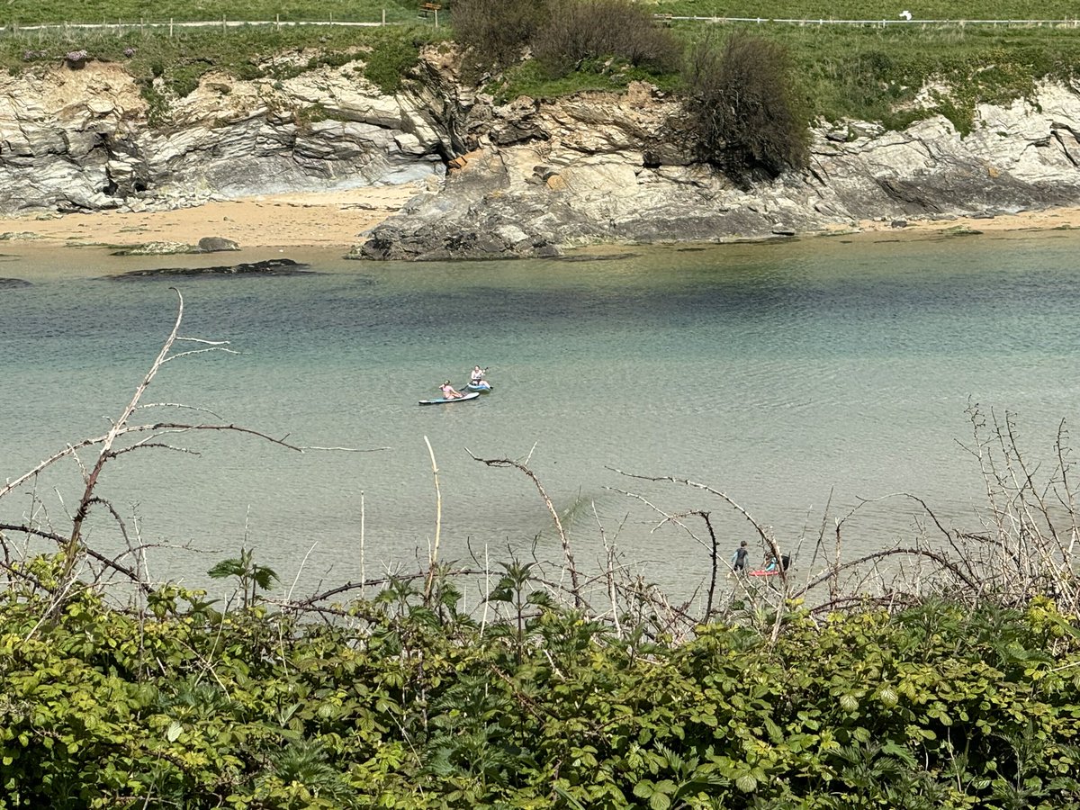 Tia and India out enjoying life on their paddle boards 🙌 This is what life’s all about, living for today, making memories 👍 #cornwall #beach #bankholidayweekend
