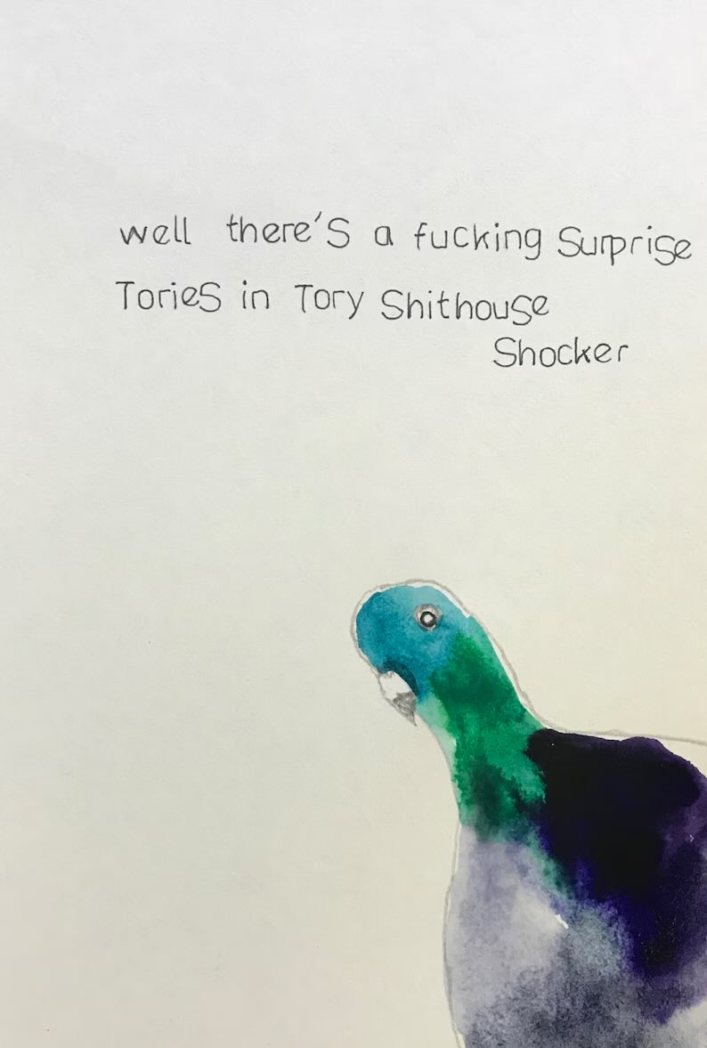 Well there’s a fucking surprise tories in Tory shithouse shocker etsy.com/uk/listing/155…