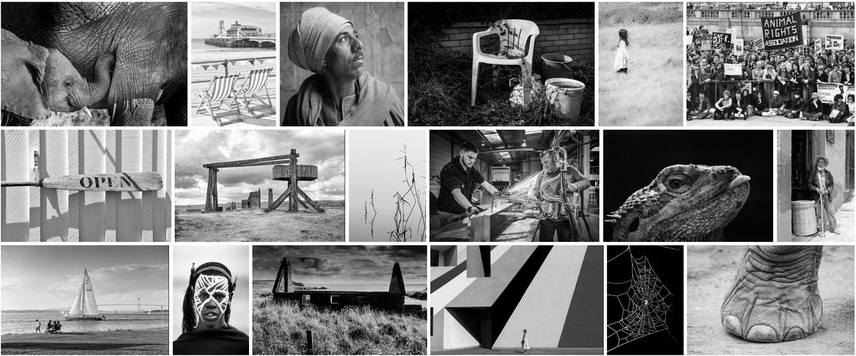 Calling #AlamyContributors If you entered #AlamyPOTM in April, check to see if your image made the final selection: bit.ly/44oo1qu #AlamyMonochrome #Alamy #AlamyPOTM #stockphotography