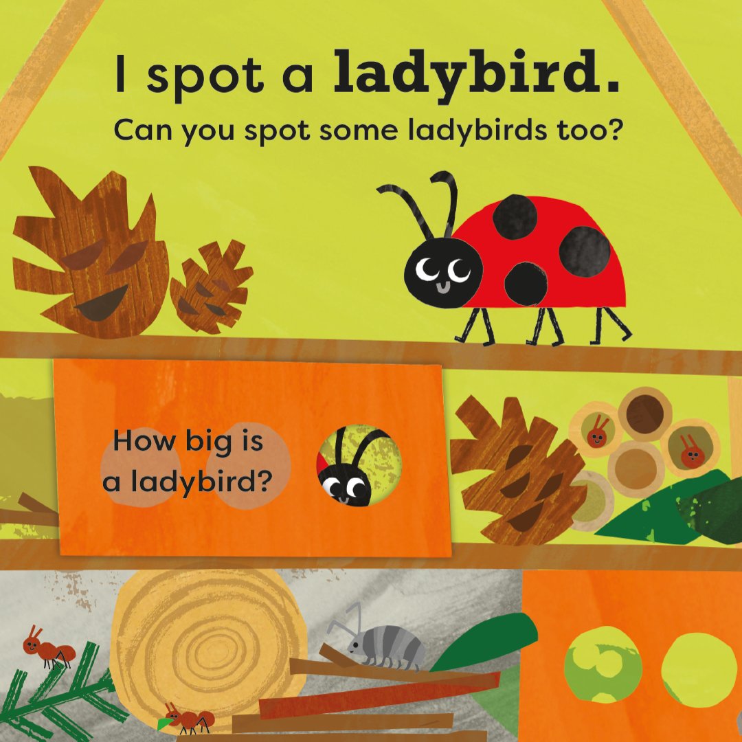 We're so excited to share a sneak peek into the new title in our @nationaltrust My Very First Spotter’s Guide series, I Spot a Snail🐌 Out on Thursday, pre-order your copy today📚: ow.ly/kreg50RuC7m @KayVincent5