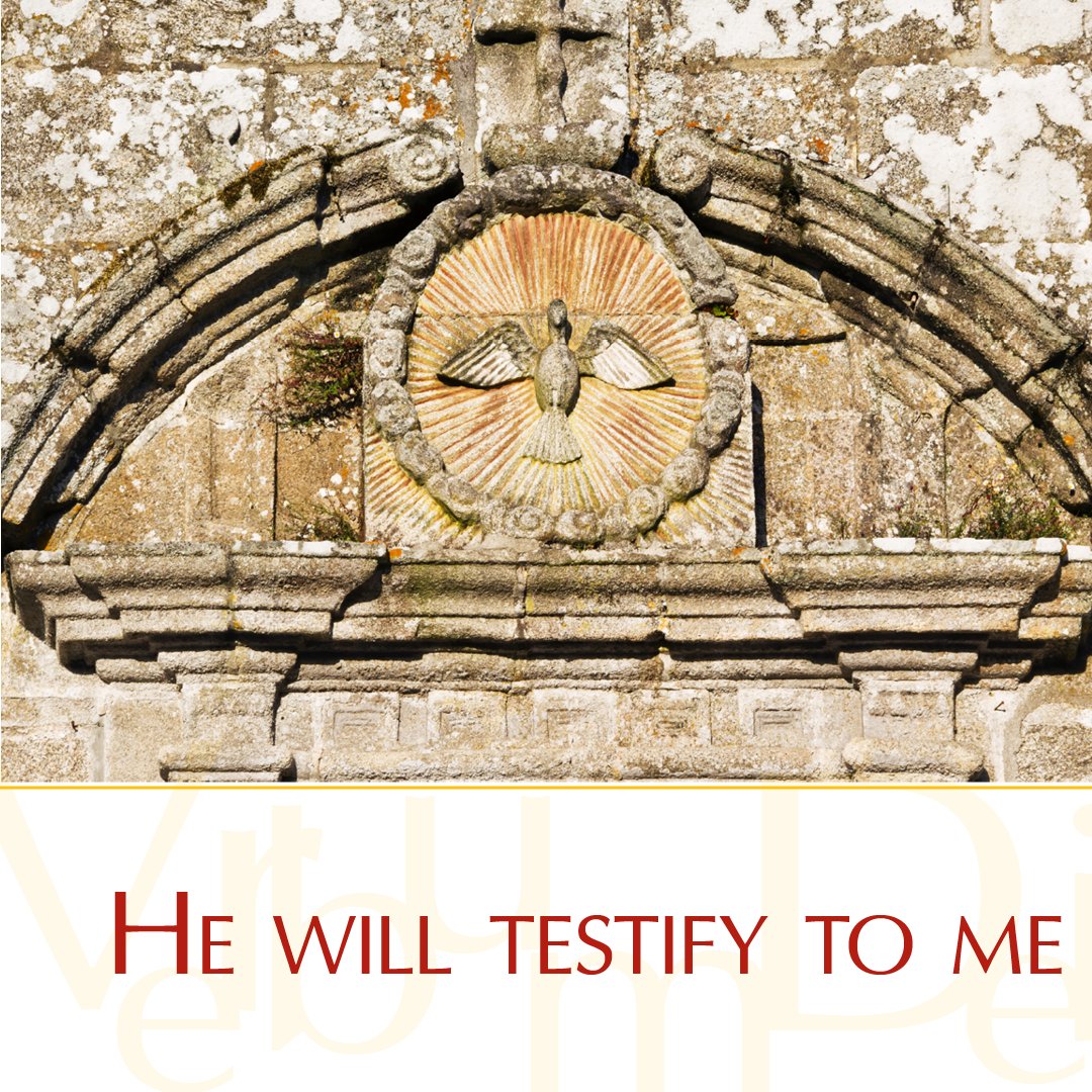 Gospel of the Day (Jn 15:26—16:4a) 'When the Advocate comes whom I will send you from the Father, the Spirit of truth who proceeds from the Father, he will testify to me.' vaticannews.va/en/word-of-the…