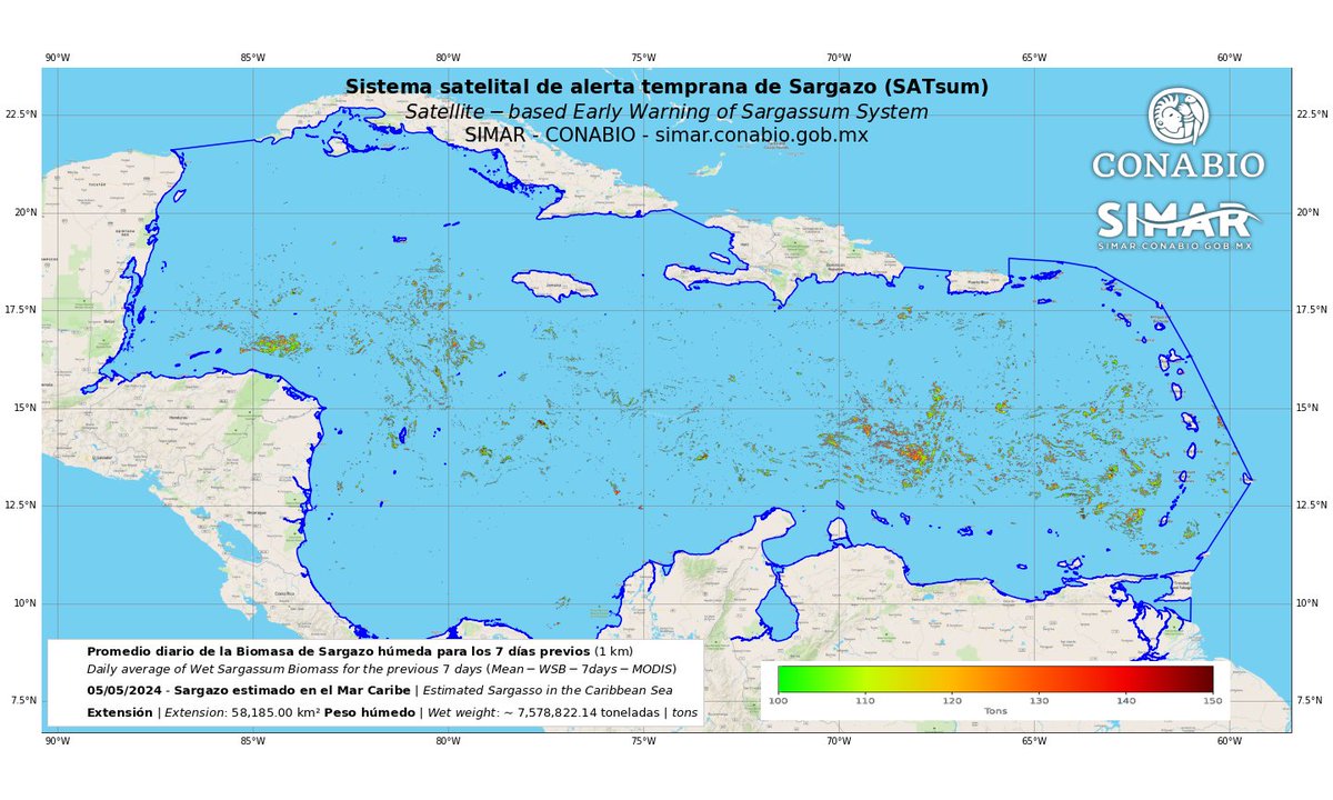 Sistema satelital de alerta temprana de Sargazo (SATsum)
SIMAR - CONABIO

Boletín 2024-05-05

Sargazo estimado en el Mar Caribe

Extensión: 58,185 km²
Peso húmedo: ~ 7,578,822 toneladas

simar.conabio.gob.mx/alertas/#sarga…

#sargazo #sargassum #conabio